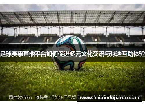 足球赛事直播平台如何促进多元文化交流与球迷互动体验